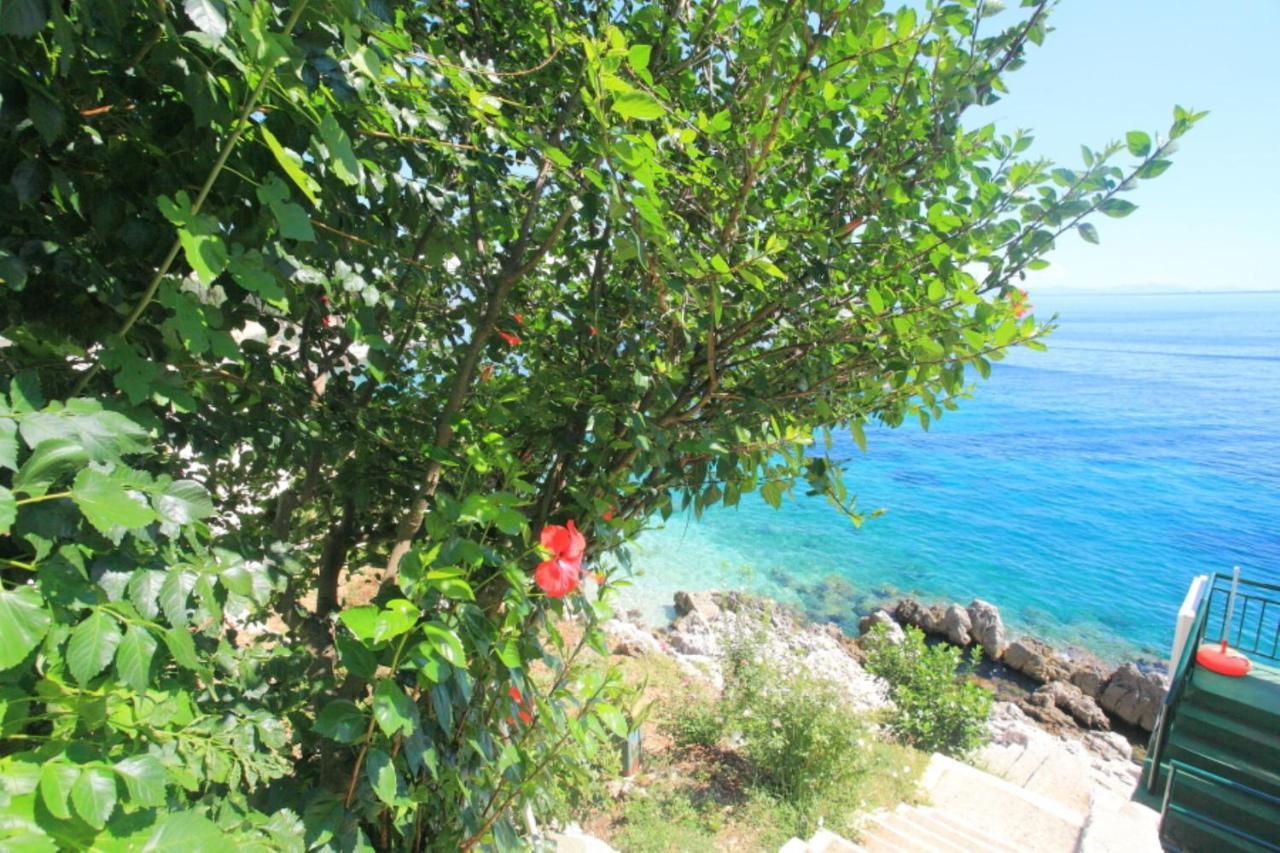 Sea Front Alexandra Appartement Nisaki (Corfu)